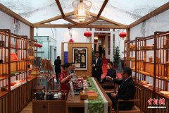 东西问｜于洋：中国小城保亭何以成中欧绿色合作热土？